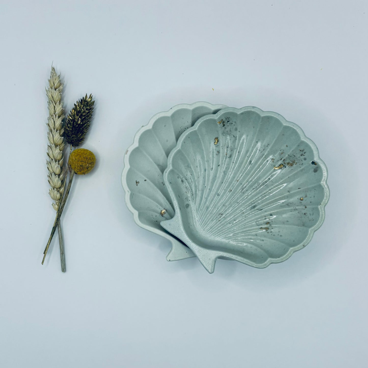 Mollusco di Lusso.